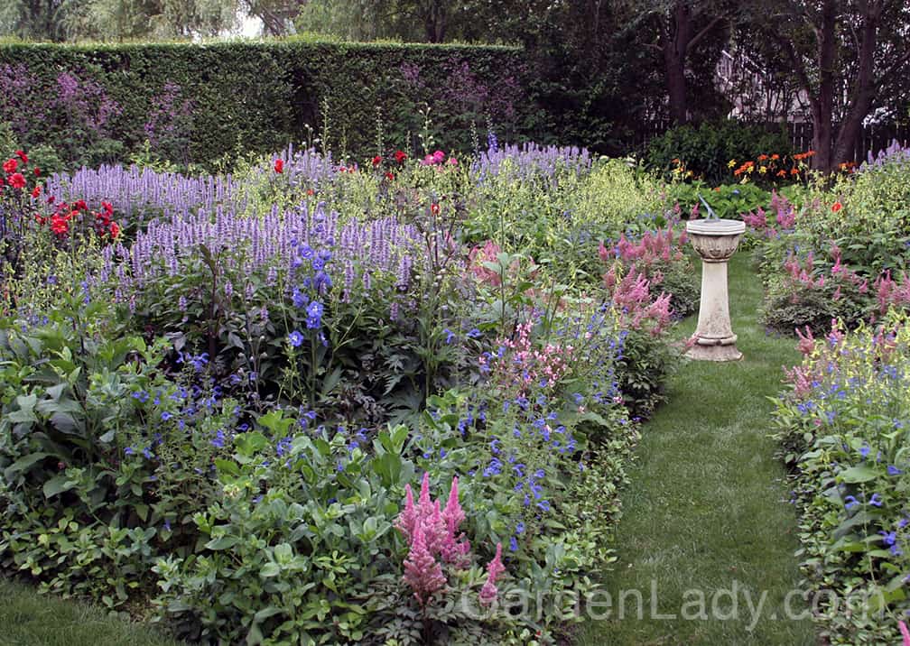 Groups of 'Blue Fortune' are perfect for the center or rear of a perennial garden. Here they are combined with green Nicotiana, blue Delphiniums, pink Astilbe and red Dahlias.
