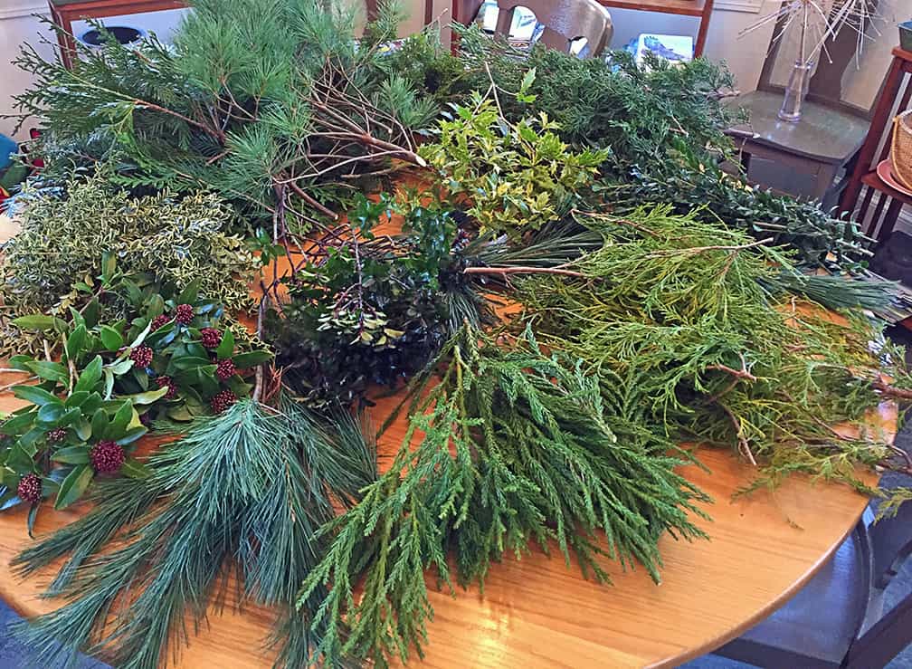 Here are the many colors and textures I came into the house with after cutting three to five branches from assorted evergreen plants in my yard.