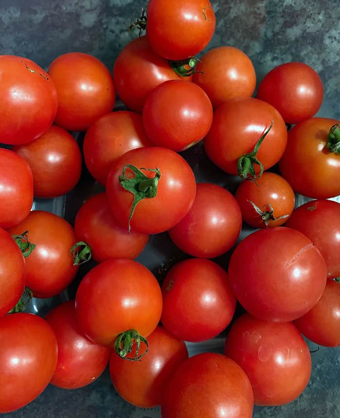 Mountain Magic Tomatoes…Great For Gardens and Pizza